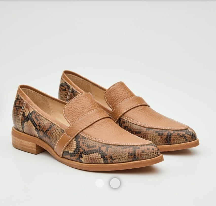 Zapato Tere